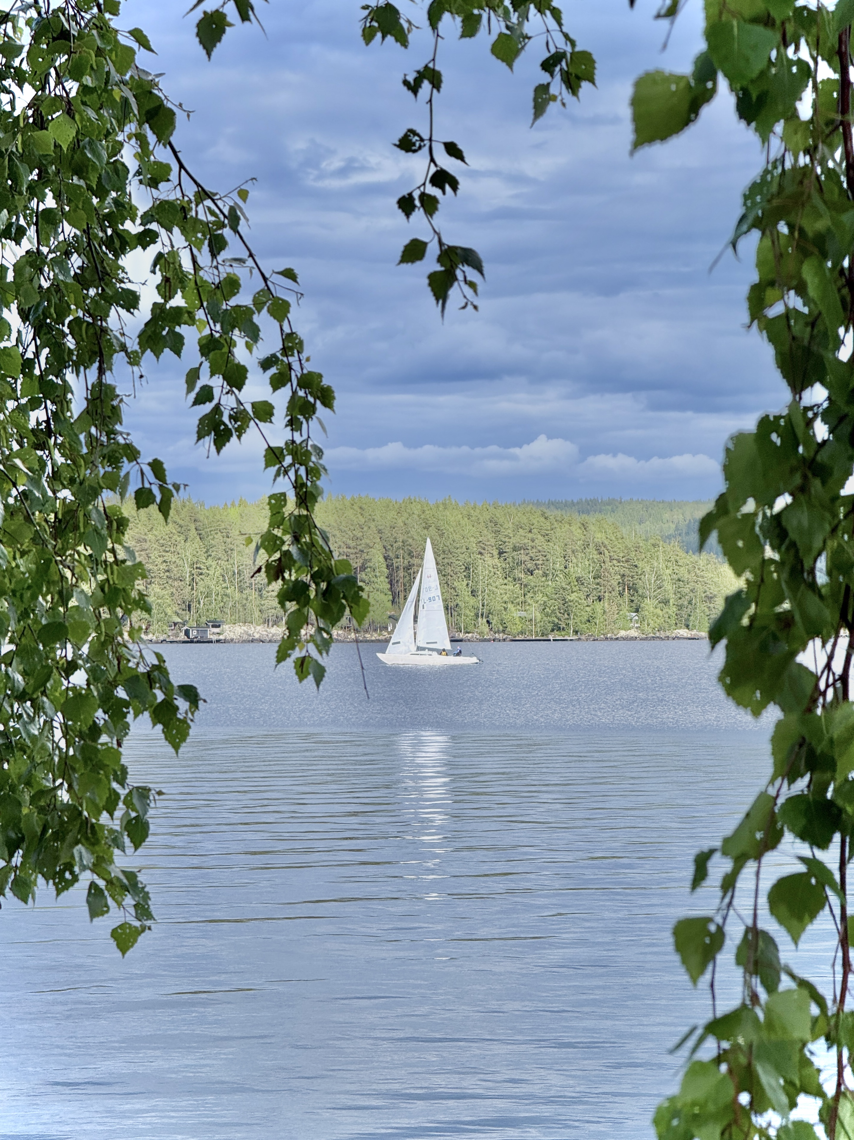 Maisema