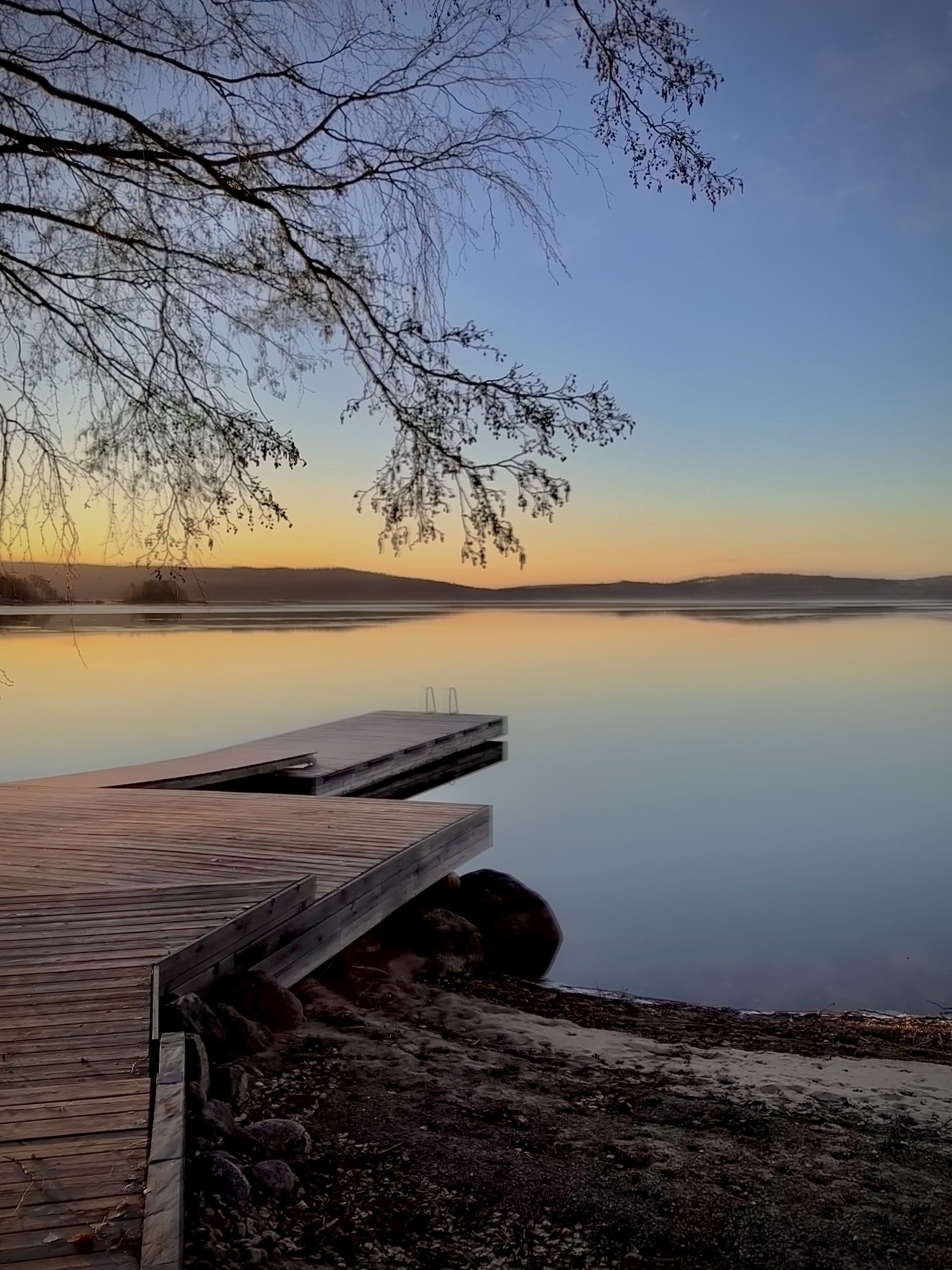 Mari koivun vieressä järvimaisemassa