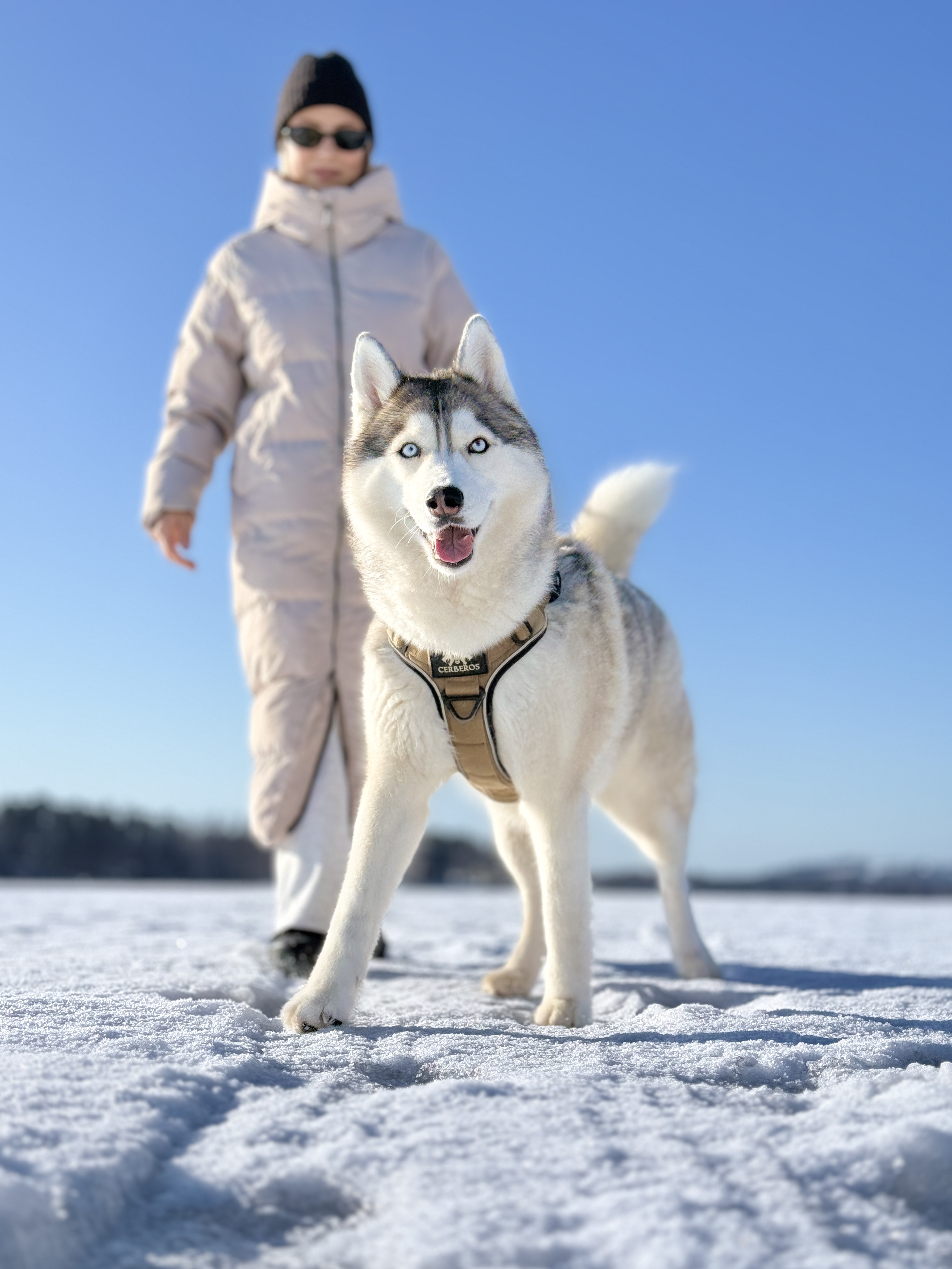 Husky ja omistaja järvellä